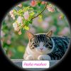 user932051092
