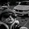 leonardoveracierta_lexus