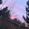 sophia_urfav83