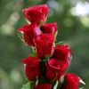 samir.abrar05