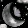 user27171482911056