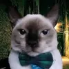 dr_waos18