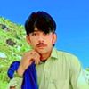 amir.ali.khan250
