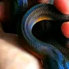 ztr9z