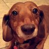 jondog95
