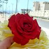 khalidaait4