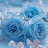 rabia87098