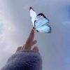 user5043016107431