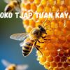 adisrosma