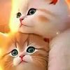 user92771190968342
