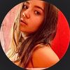 santin_ecu