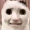 nguoique1234