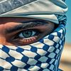 salmanaljabrni