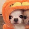 justjay1122