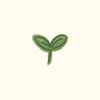 aloe.vera_miracles