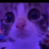 andyrewhehe87