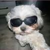 camila2pretty4u2