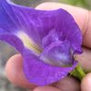 putul9940