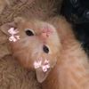 spammy_spam_spam6