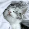 sweetie_meisy4
