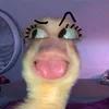 5engel