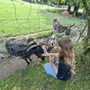 chiara.krll