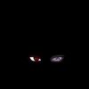 ijam.usman4