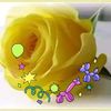 nourmana258