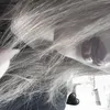 dallya_.1