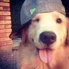 melonlord678