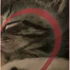 niahpott8