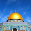 free.palestine7028