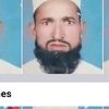 m..tufail42