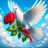 zulicuc.28