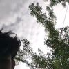 jalzz.kojalz