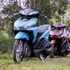 vardi164