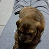 nati.hrubos