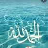 user9446623116003