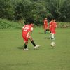 pria.tanpa.mahkot