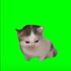meme777aa
