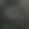 vi.__wwx