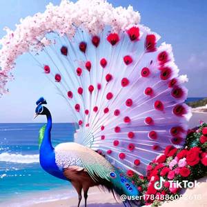user201691772570177
