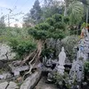 nguyen.thanh.binh759