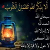 hosasam.mohamed