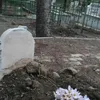 005.die