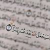 rida.rida715