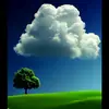 hnin.zaw53