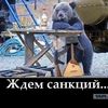 v5303352cvx
