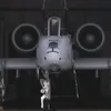 a10warthog11