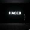 habbeb.ahmed